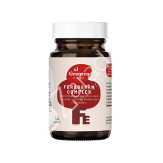 FERROGRAN 690MG 45CAP - EL GRANERO