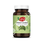 GINKGO + VID BIO 90CAP - EL GRANERO