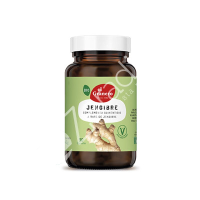 JENGIBRE BIO 500MG 90CAP - EL GRANERO
