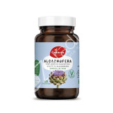 ALCACHOFERA FORTE 600MG 120COMP - EL GRANERO
