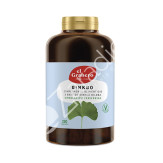 GINKGO BIOLOBA 600MG 250CAP - EL GRANERO