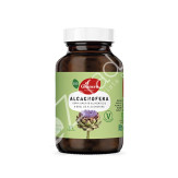 ALCACHOFERA BIO 350MG 120CAP - EL GRANERO