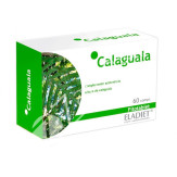 CALAGUALA 330MG 60COMP