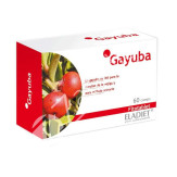 GAYUBA 330MG 60COMP