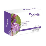 SALVIA 330MG 60COMP