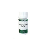 HOLOFIT HARPAGOFITO RB11 50CAP