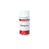 HOLOPENO 40CAP