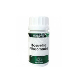 HOLOFIT BOSWELIA FITOSOMADA 180CAP