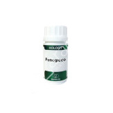 HOLOFIT FENOGRECO 50CAP
