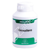 HOLOFIT GROSELLERO 50CAP