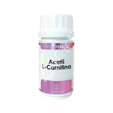 HOLOMEGA ACETIL L CARNITINA 50CAP