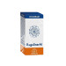 HOLORAM REGULINE M 50CAP