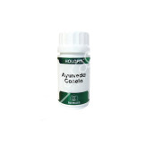 HOLOFIT AYURVEDA CANELA 50CAP