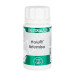 HOLOFIT ARTEMISA 100MG 60CAP
