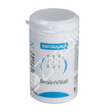 BRAINVITAL 60CAP
