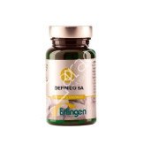 BASE DEFINIDA 5A 60COMP