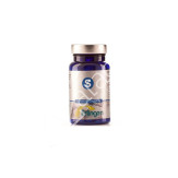 BASE ESPECIFICA 164 60COMP