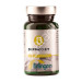 BASE DEFINIDA 571 60COMP