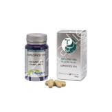 BASE ESPECÍFICA 37G 60COMP - ERLINGEN