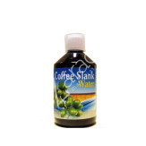 CAFE VERDE SLANK WATER 500ML