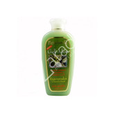GEL ALOE MOSQUETA TEPEZCOHUITE 200ML