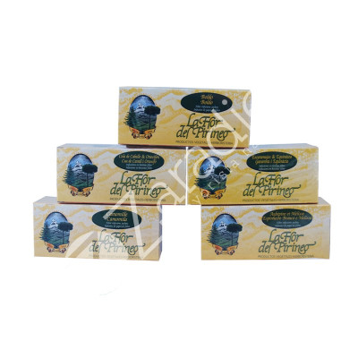 TE ROOIBOS INFUSION FILTRO