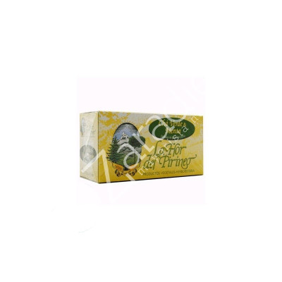 TE VERDE & MENTA 25 FILTROS