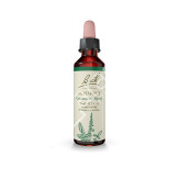 AGRIMONY AGRIMONIA 20ML