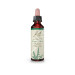 AGRIMONY AGRIMONIA 20ML
