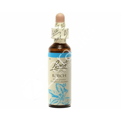 BEECH HAYA 20ML