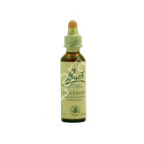 CENTAURY CENTAURA MENOR 20ML