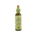 CENTAURY CENTAURA MENOR 20ML
