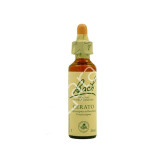 CERATO 20ML