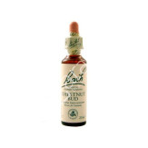 CHESTNUTBUD BROTE CASTAÑO 20ML