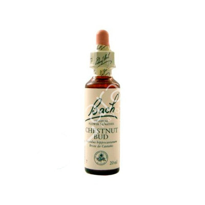 CHESTNUTBUD BROTE CASTAÑO 20ML