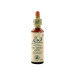 CHESTNUTBUD BROTE CASTAÑO 20ML