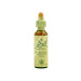 CHICORY ACHICORIA 20ML