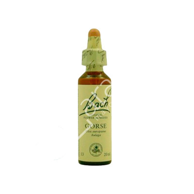 GORSE AULAGA 20ML