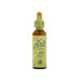 GORSE AULAGA 20ML