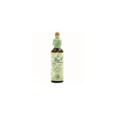 HOLLY ACEBO 20ML