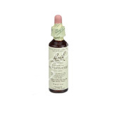 HONEYSUCKLE MADRESELVA 20ML