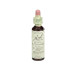 HONEYSUCKLE MADRESELVA 20ML
