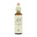 HORNBEAM HOJARAZO 20ML