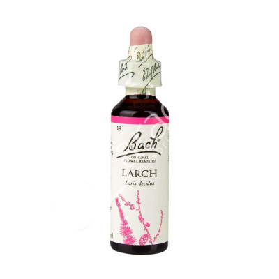 LARCH ALERCE 20ML