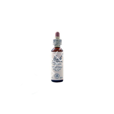 MUSTARD MOSTAZA 20ML