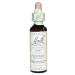 OAK ROBLE 20ML