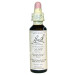 OLIVE OLIVO 20ML
