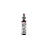PINE PINO 20ML