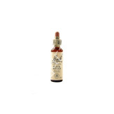 ROCK WATER AGUA DE ROCA 20ML