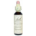 SCLERANTHUS 20ML